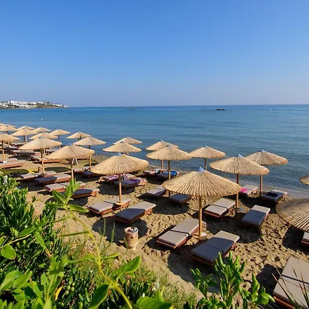 Alai Crete, A Tribute Portfolio